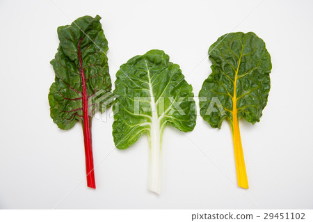 Swiss Chard 29451102