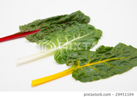 Swiss Chard 29451104