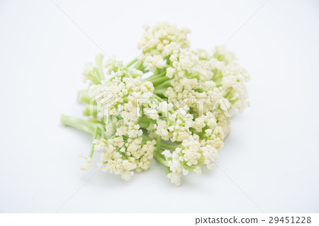 Karifurore Karifurore 29451228