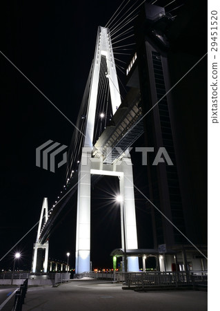 新大橋 新大橋 29451520