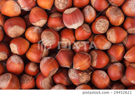 Hazelnut background 29452621