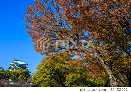 Late Autumn Nagoya Castle in the morning Late Autumn Nagoya Castle in the morning 29452992