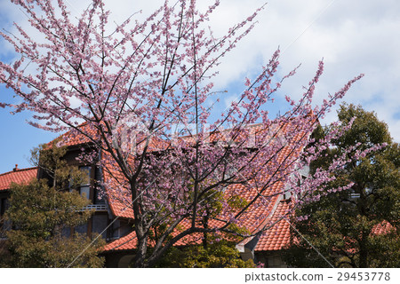 Nagoya Urban landscape · Culture of Miyabi Hall 29453778
