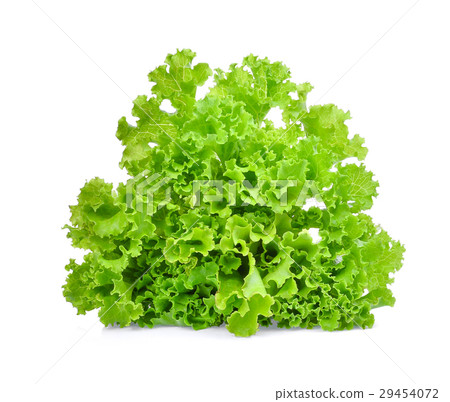 fresh green lettuce salad leaves isolated on white 29454072