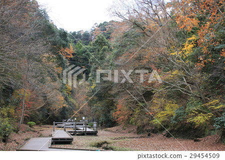 Shimizu Stream Park of autumn leaves Shimizu Stream Park of autumn leaves 29454509