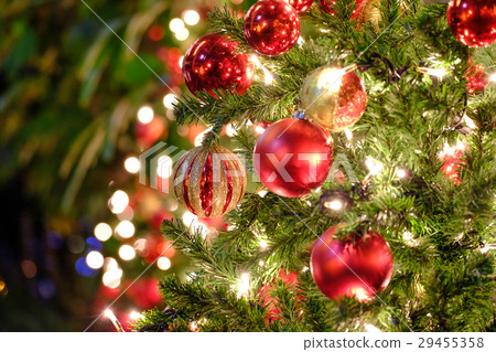 Christmas Image Christmas Image 29455358