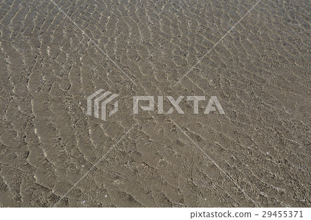 sea surface with waves 29455371
