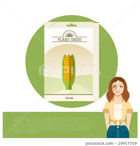 Pack of Corn seeds icon 29457359