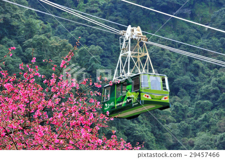 Cable car, aerial cable car, cherry blossom Cable car, aerial cable car, cherry blossom 29457466