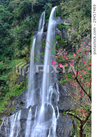 烏來瀑布,雲仙瀑布,瀑布,流水 29457469