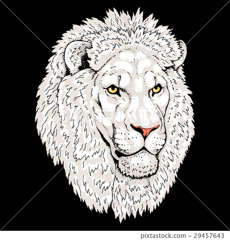 Beautiful lion artwork. Detailed.African predator. 29457643