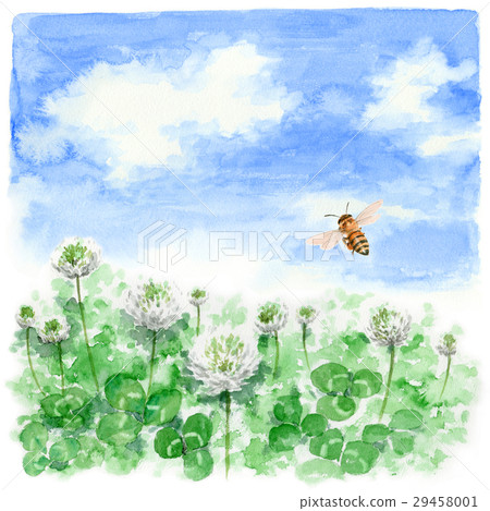 蜂蜜蜂飛過三葉草領域 29458001