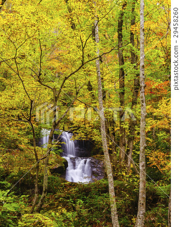 Utsugawa 48th Falls（岐阜縣）的秋葉 29458260