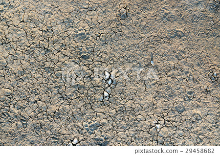 Sole imprint on the cracked dry ground near salt Sole imprint on the cracked dry ground near salt 29458682