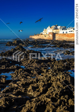 View on Essaouira city, ancient port. Old fortress View on Essaouira city, ancient port. Old fortress 29458734