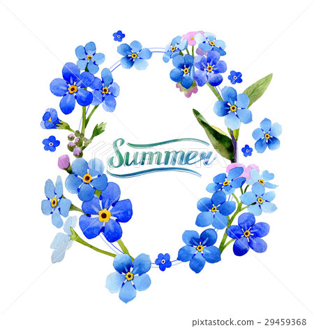 Wildflower myosotis arvensis flower in a 29459368