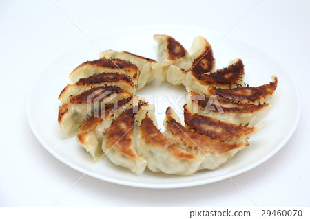 Grilled gyoza white back Grilled gyoza white back 29460070