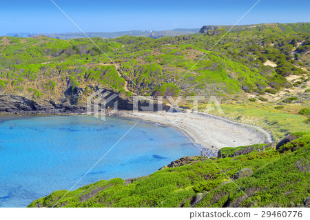 Platja den Tortuga beach, Menorca. 29460776