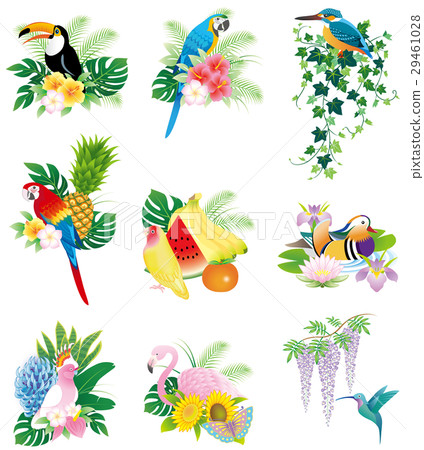 Icons and marks of birds and flowers / fruits 29461028