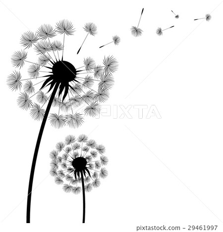 Silhouette Dandelion 29461997