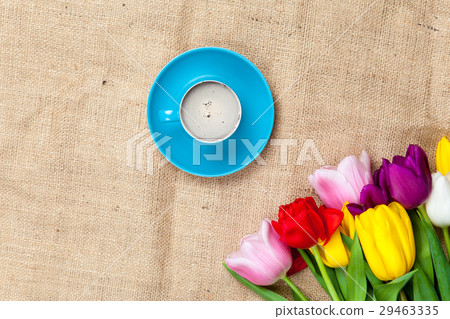photo of beautiful bunch of colorful tulips 29463335
