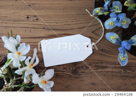 Flowers, Label With Copy Space Flowers, Label With Copy Space 29464186