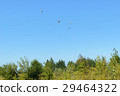 Paratroopers descend to earth on blue clear sky 29464322