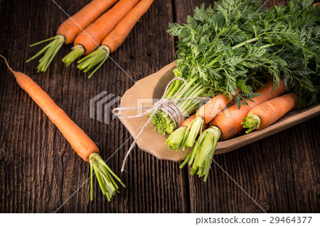 Fresh young bunch of carrots and leaves 29464377