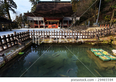 Hikoshiyama Bonngo Hikoshiyama Bonngo 29465594