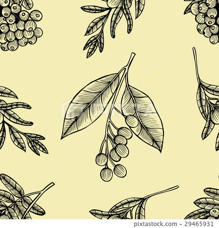 Rowan berry floral botany seamless pattern Rowan berry floral botany seamless pattern 29465931