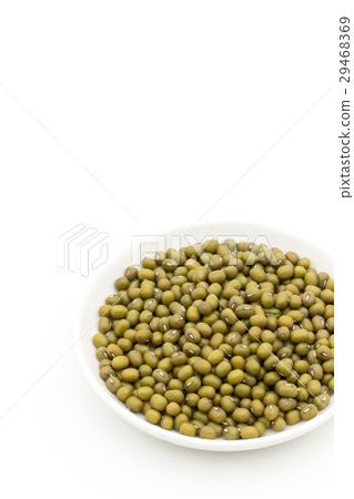 Mungbean: Mung Bean 29468369