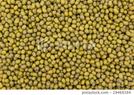 綠豆：綠豆 29468384