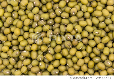 Mungbean: Mung Bean Mungbean: Mung Bean 29468385