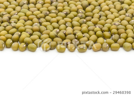 Mungbean: Mung Bean 29468398