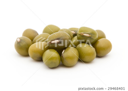 Mungbean: Mung Bean 29468401