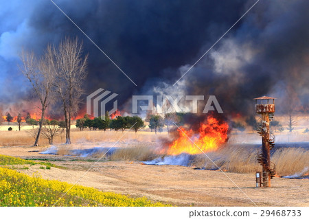 燃燒閒置的土地 29468733