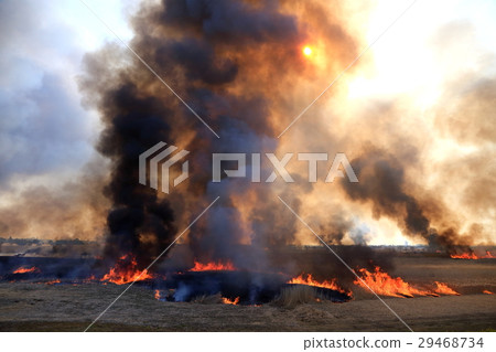 煙和太陽 29468734