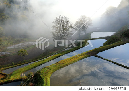 在早晨霧的米大陽台 29468736