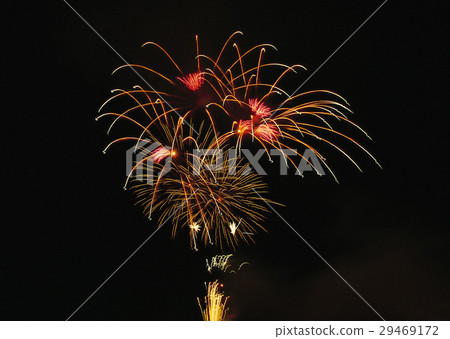 煙花 29469172