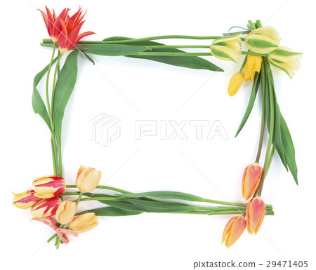 花框架 29471405