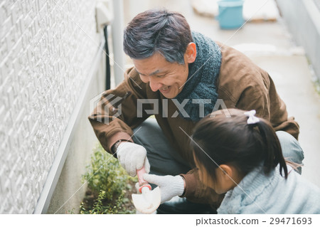 senior, gardening, male 29471693