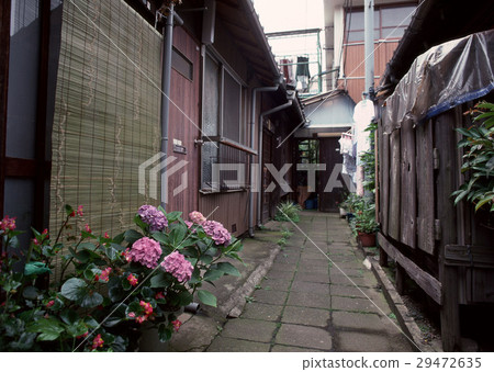 Alley Alley 29472635