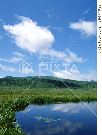 Raised bog 29474088