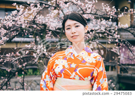 和服婦女和梅花 29475083