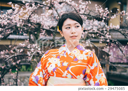 和服婦女和梅花 29475085