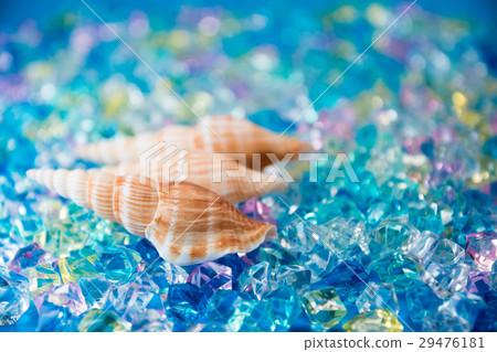 貝類和水晶 貝類和水晶 29476181