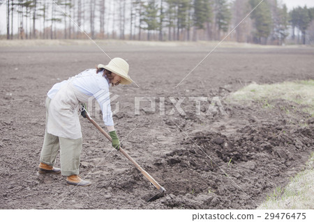 Agriculture girls 29476475