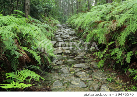 Kumano Kodo Magoshige Pass Kumano Kodo Magoshige Pass 29476570