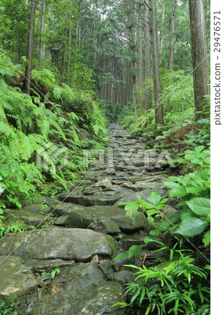Kumano Kodo Magoshige Pass 29476571