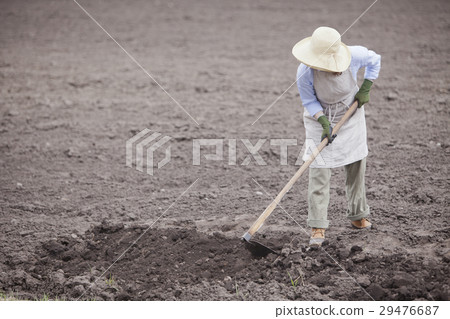 農業女孩 29476687